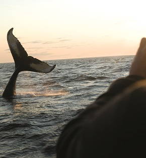 scenic maritime canada holiday scenic maritime canada holiday